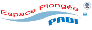 Form Logo