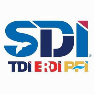 SDI-group-300